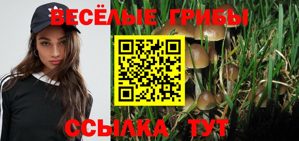 Наро-Фоминск  Псилоцибиновые грибы GOLDEN TEACHER  Вход с VPN 